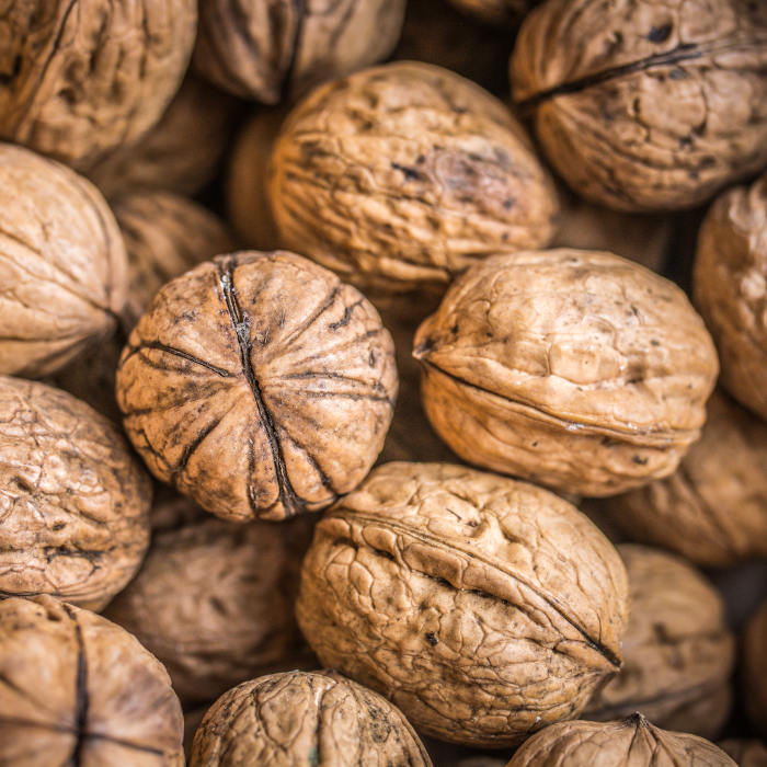 Pain des Rois Nüsse