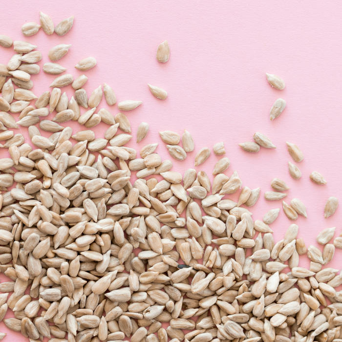 Pain des Rois Samen rosa