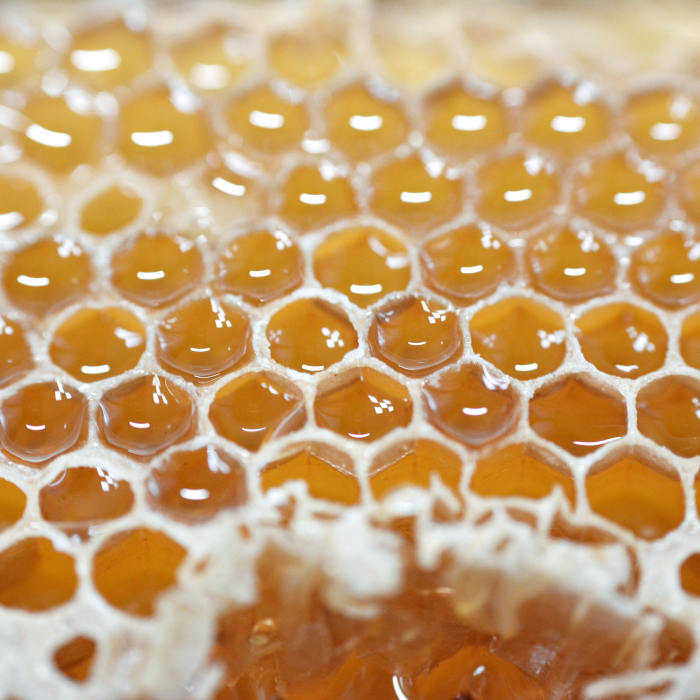 Pain des Rois Waben Honig